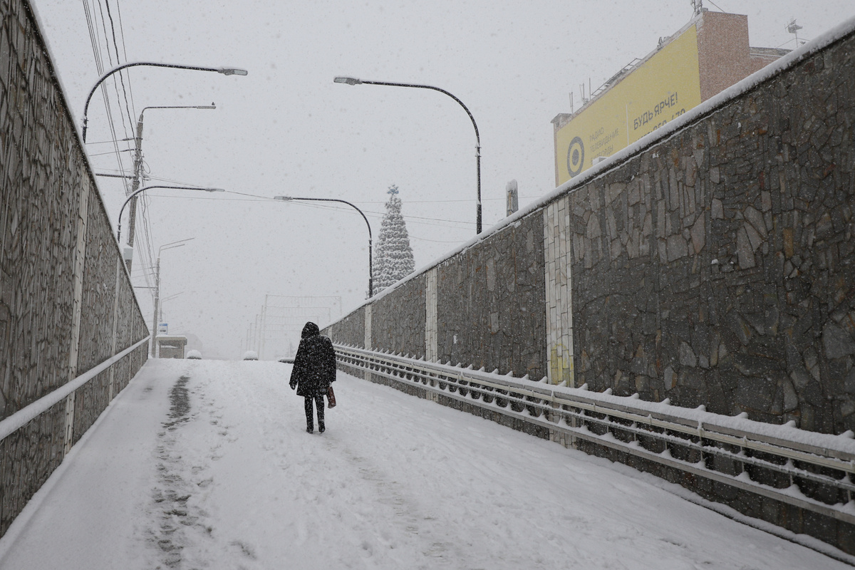 Фото: Тульская служба новостей
