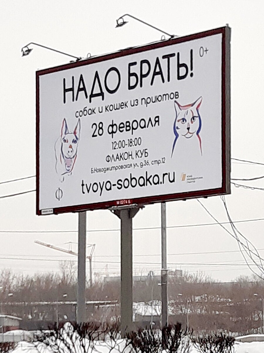 Социальная реклама, призывающая брать животных из приютов в Москве. Фото из личного архива