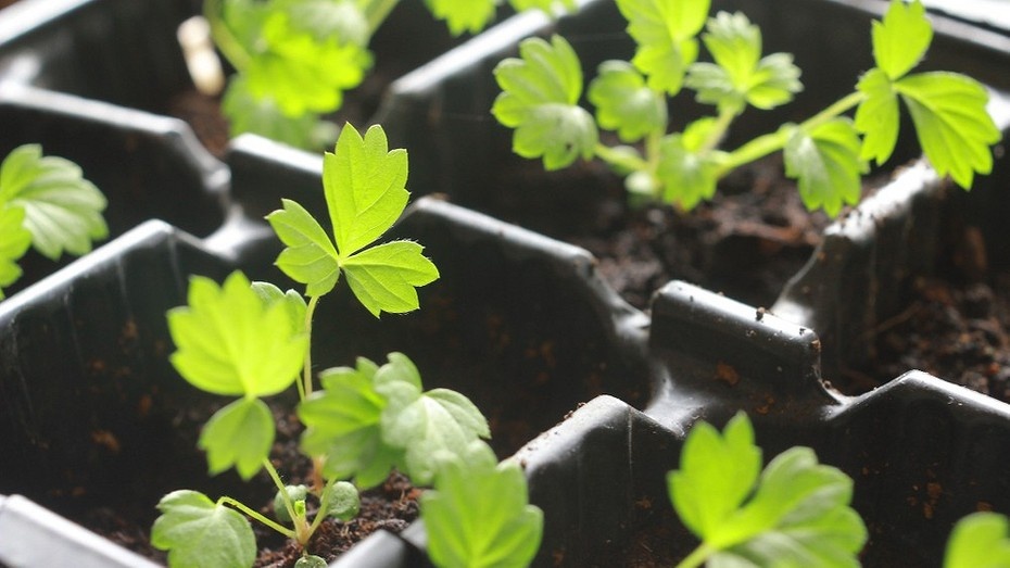 ShutterStock/Fotodom.ru