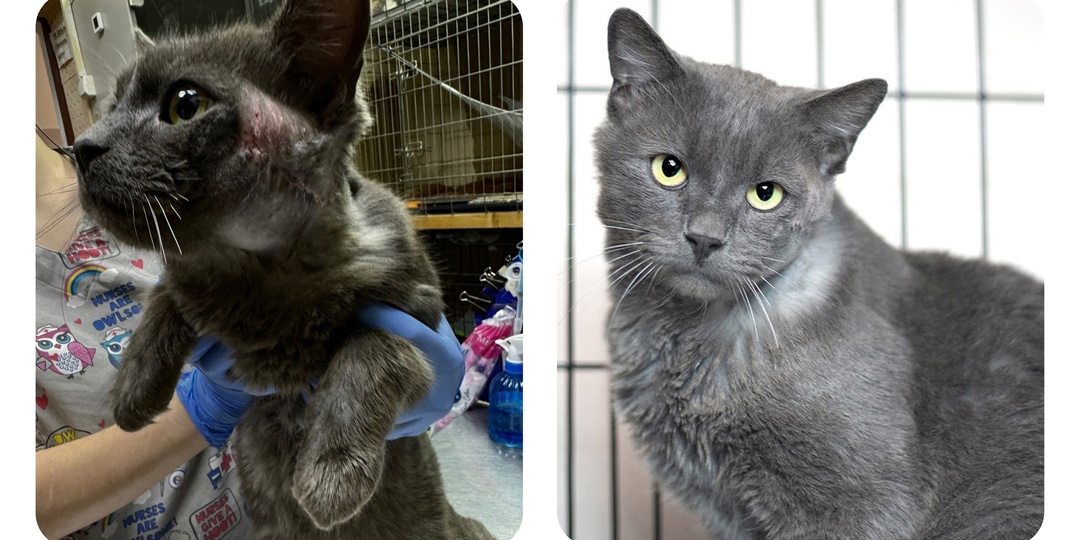 До и после: были обречены, пока не встретили Настоящего Человека