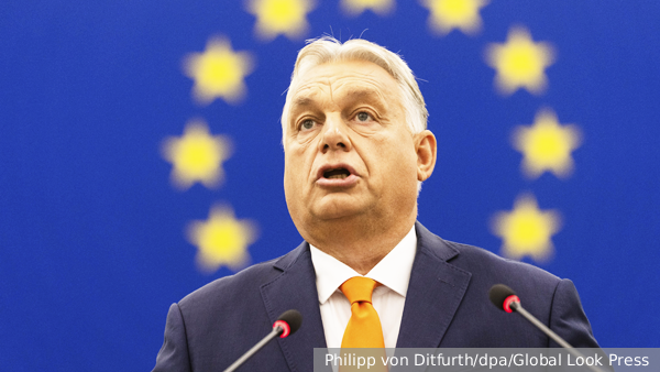     Фото: Philipp von Ditfurth/dpa/Global Look Press   
 Текст: Валерия Городецкая