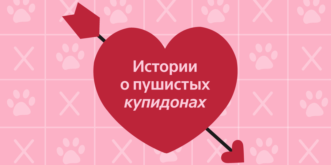 Истории о пушистых купидонах 💌