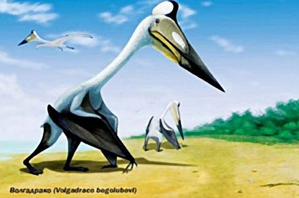    «Волжский дракон»