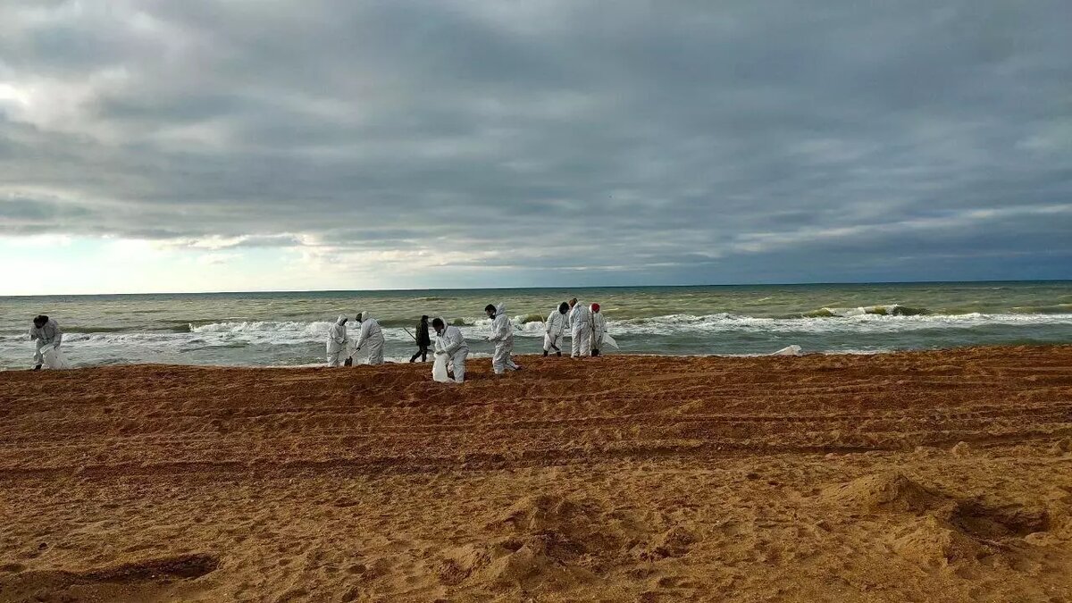 Как выглядит черное море сегодня