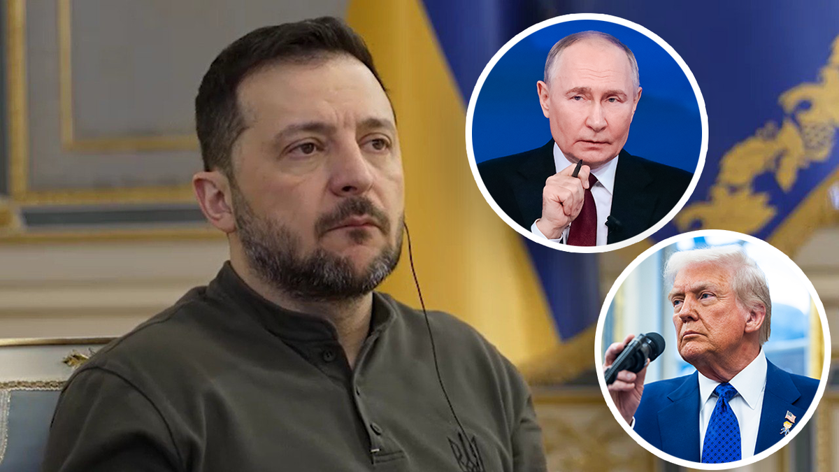 Фото: CNP/AdMedia/globallookpress.com / Roman Naumov/globallookpress.com / соцсети Владимира Зеленского