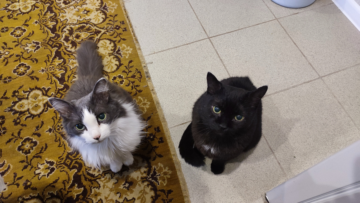 Марина, дай что-нибудь вкусного