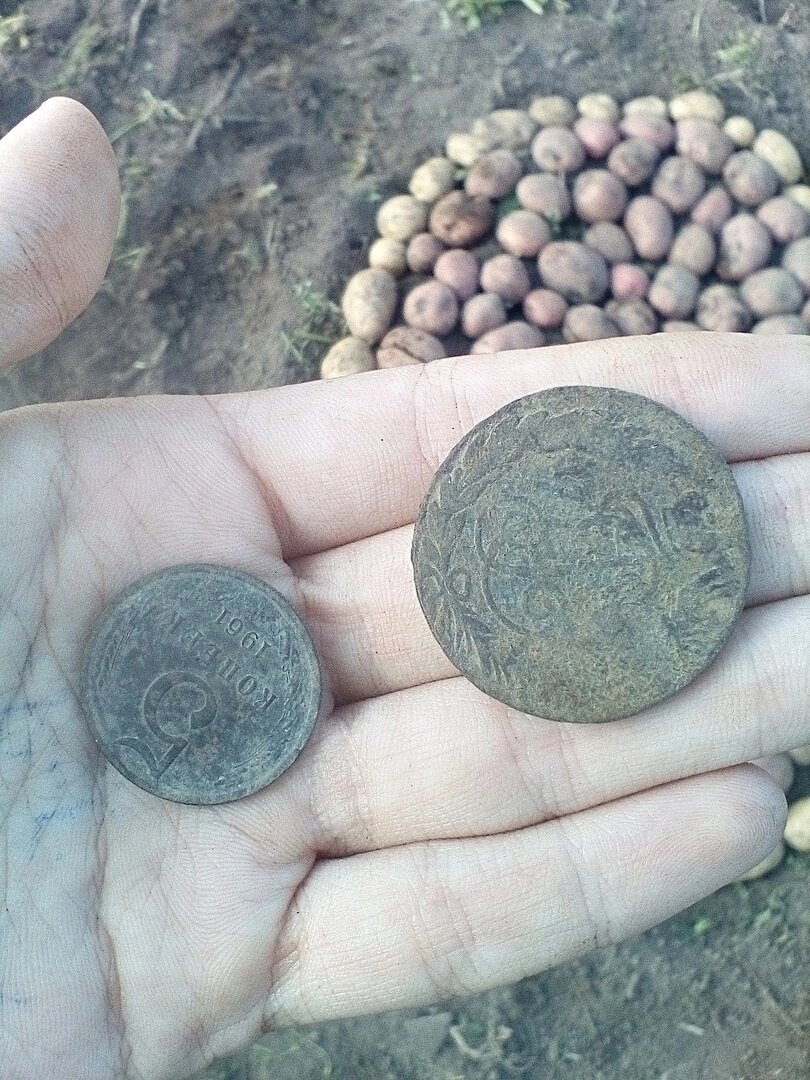 фото автора, почти клад)) 