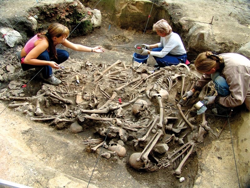 Братские могилы в Ярославле XIII в.