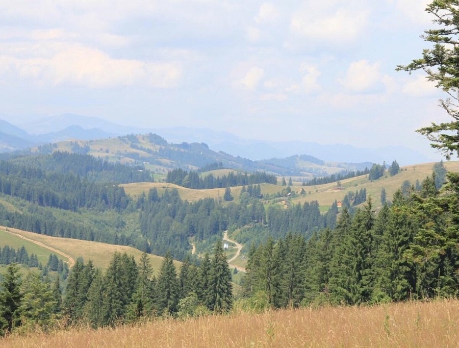 Предгорья Карпат Польша. Яндекс картинки.
