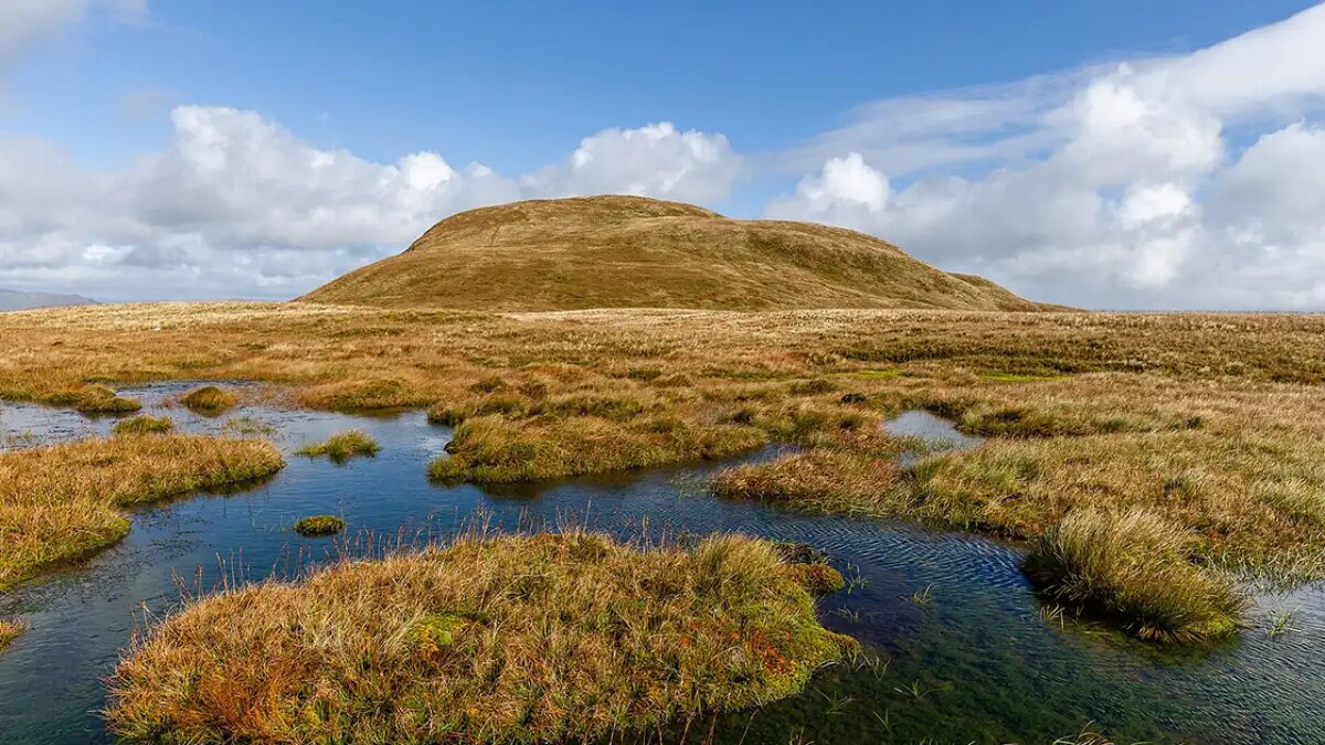    Торфяное болото в Шотландии.