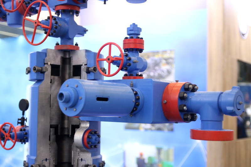    Фото: Maksim Konstantinov/Global Look Press