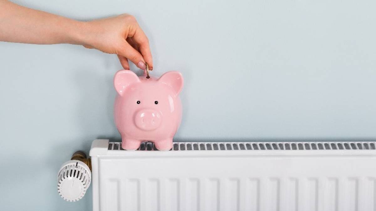    Фото: Shutterstock