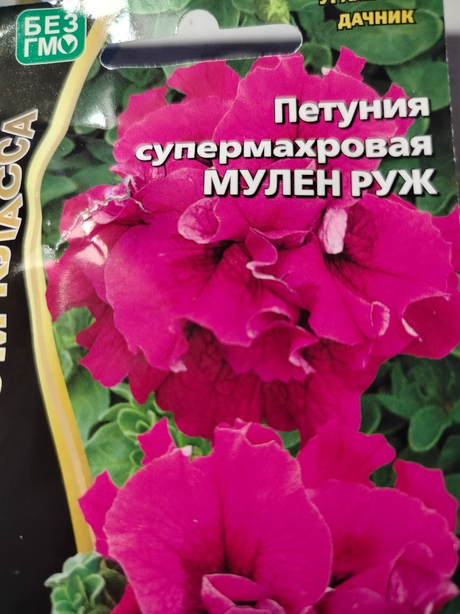 Фото автора.