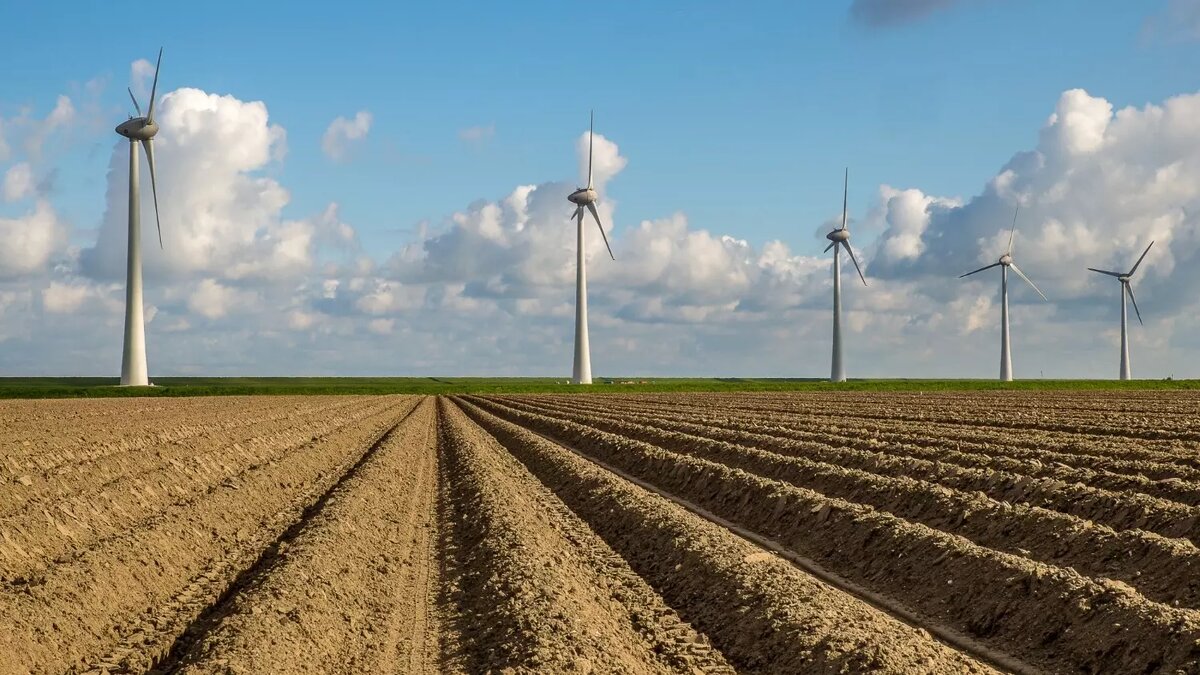     Автор: wirestock/freepik.com