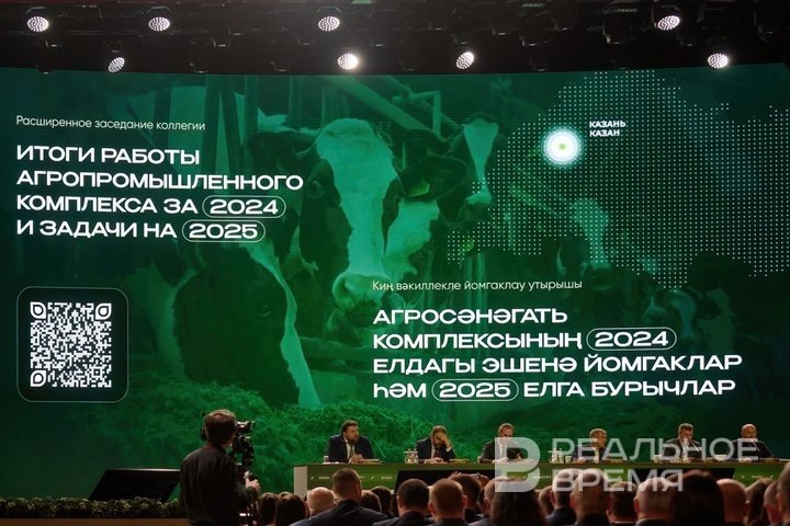 Фото: Динар Фатыхов