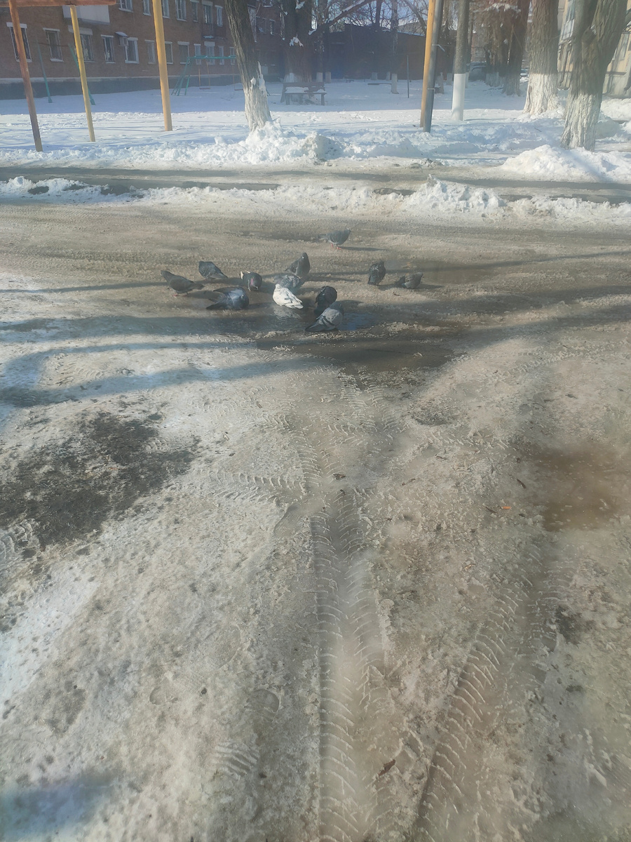 Погода сегодня 