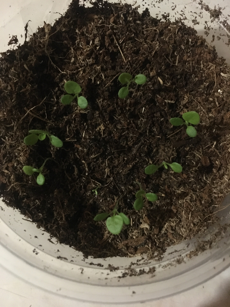 Количество примерно 5 из 8ми или 8 из 10ти.
