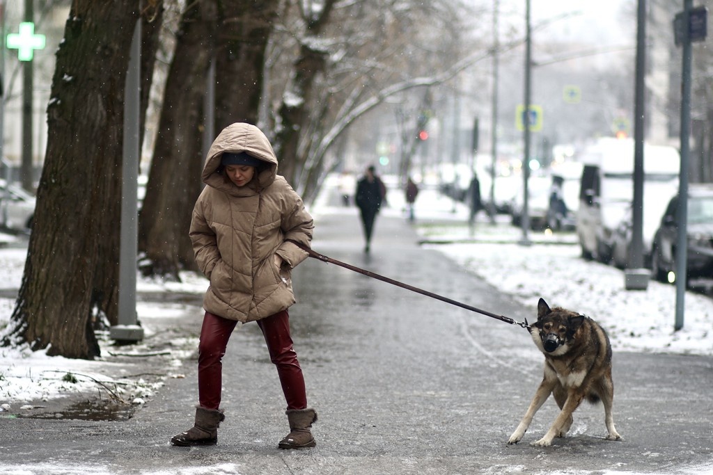    Фото © Анастасия Романова / Абзац
