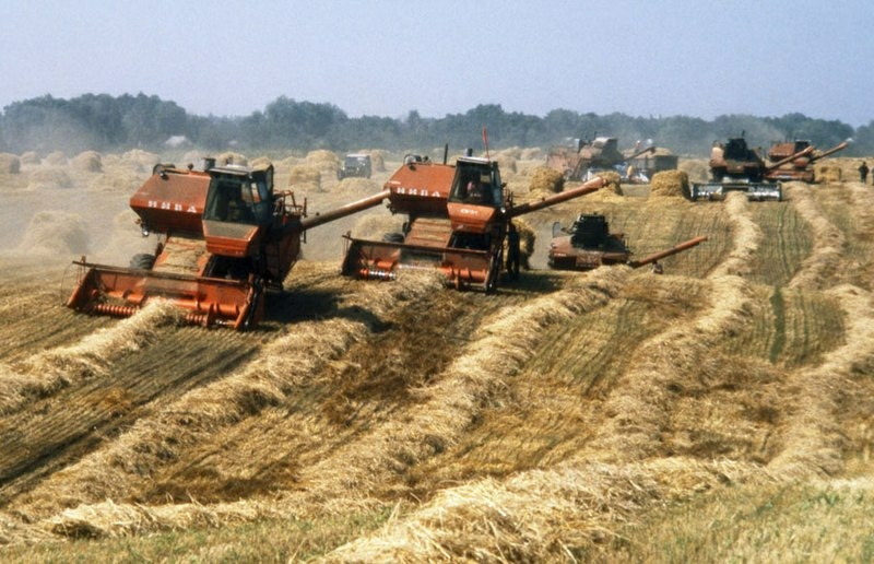 Сельское хозяйство при СССР (Фото: https://www.drive2.ru/b/530896991522128905)