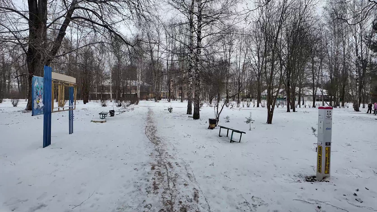 Внутри парка