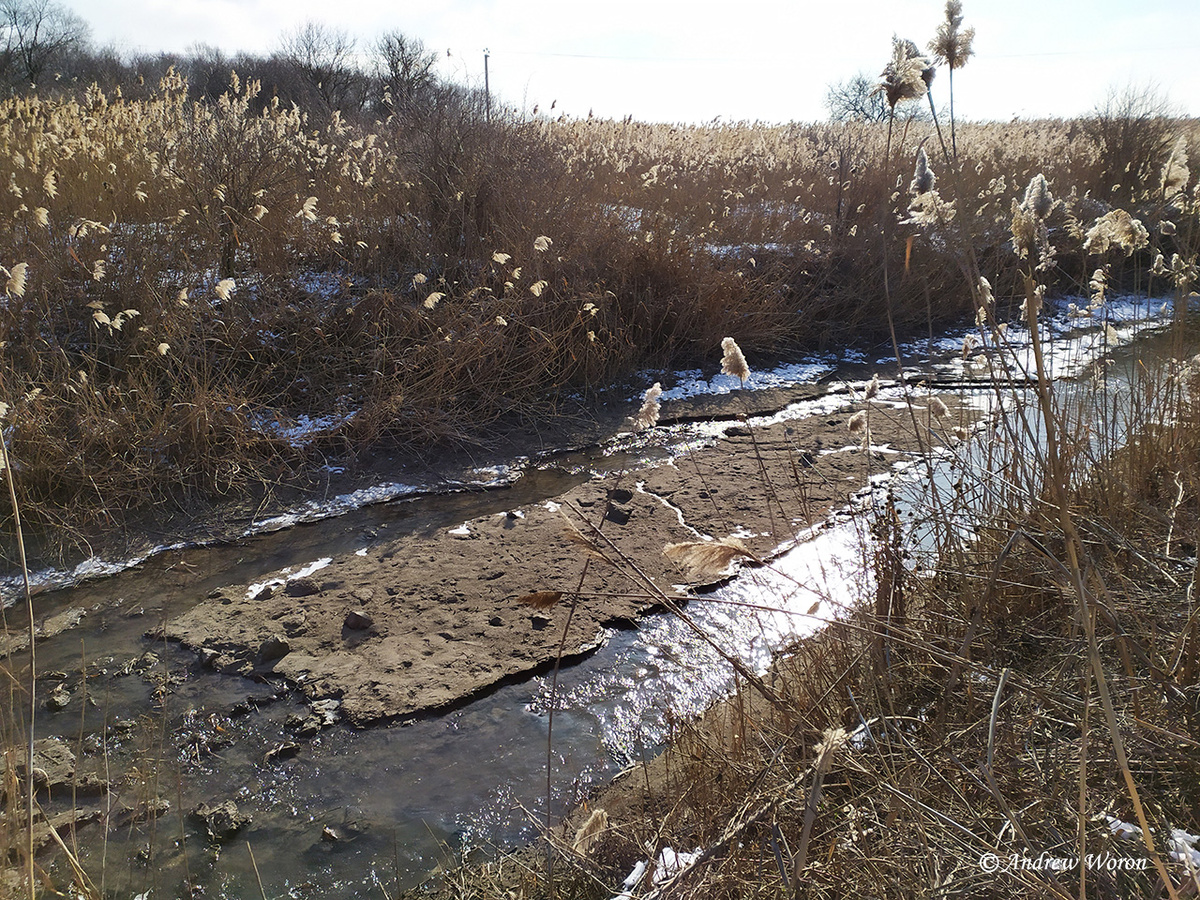 Речушка на дне балки