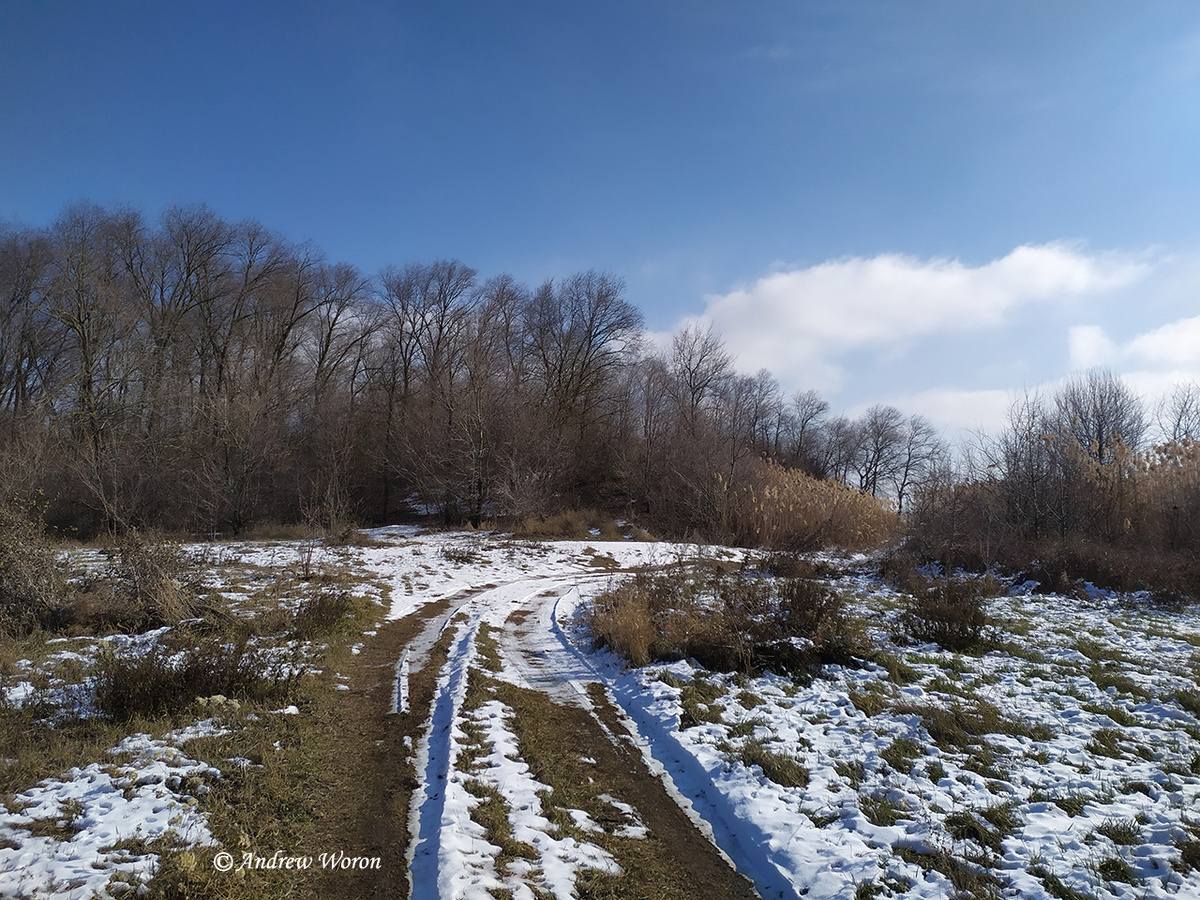 Дорога к берегу