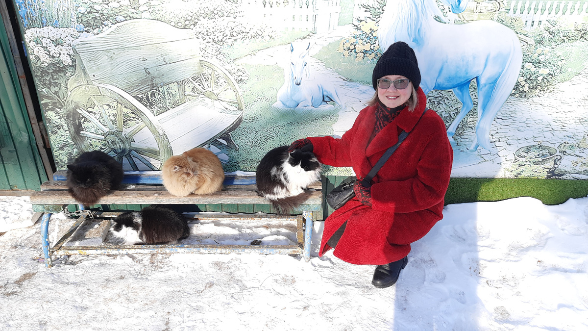 Это ещё не все кошки. Другая группа кошек сидит в стороне.