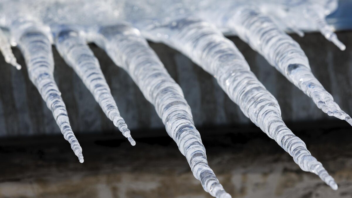    Фото: Sergey Elagin/globallookpress.com