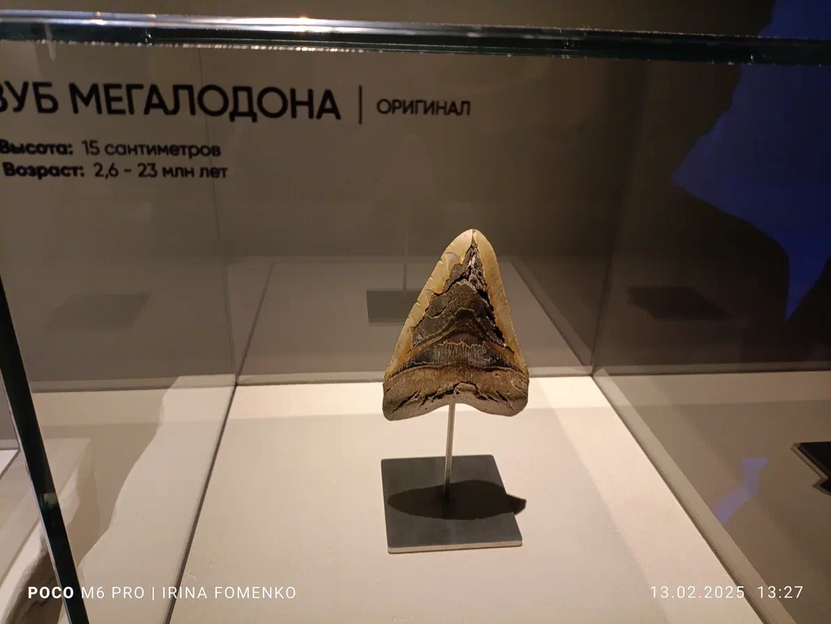 Музей АРТ и ФАКТЫ. Фото автора