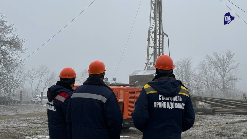      Фото: Вероника Николаева / / ИА «Победа26»