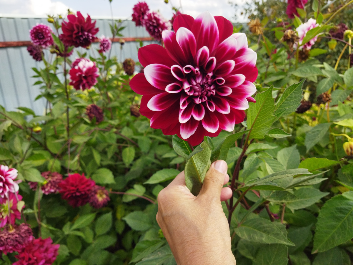 Фото из личного архива автора