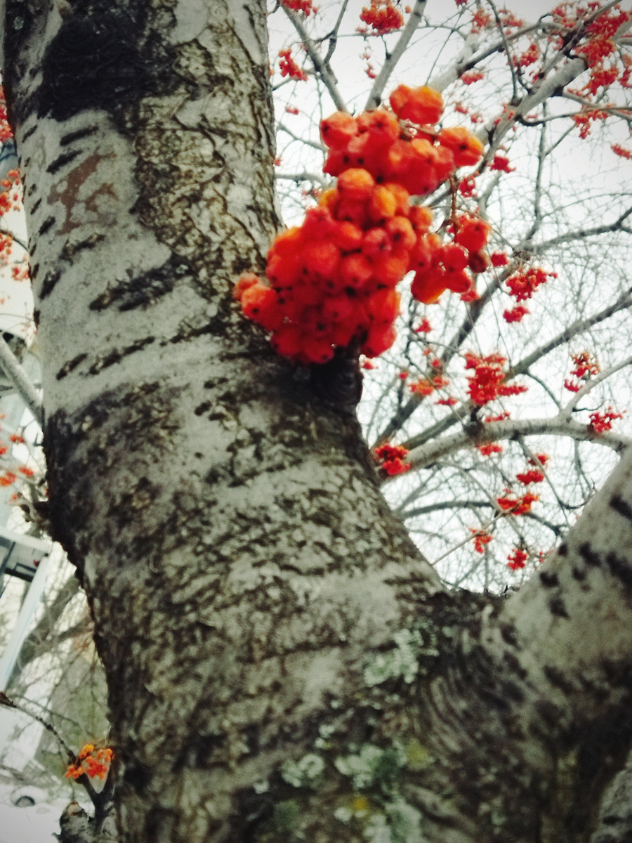 Фото из личного архива автора