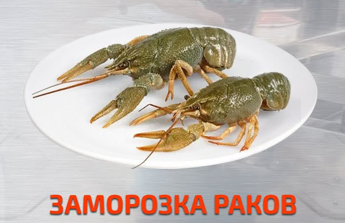 Заморозка раков