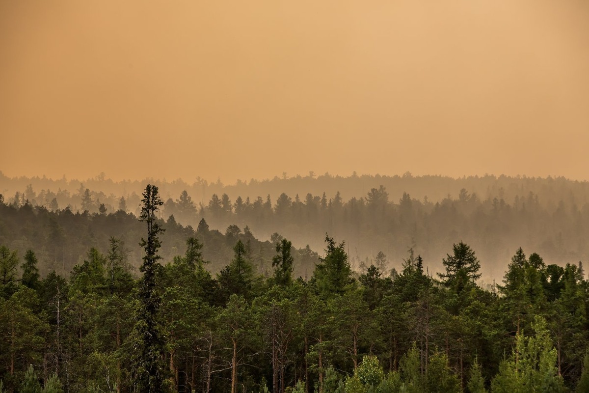    Рослесхоз рассказал о прогнозе лесопожарного сезона