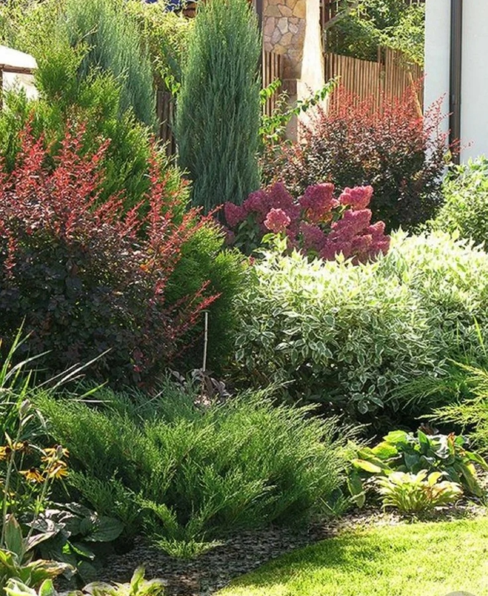 Миксбордер с использованием барбариса