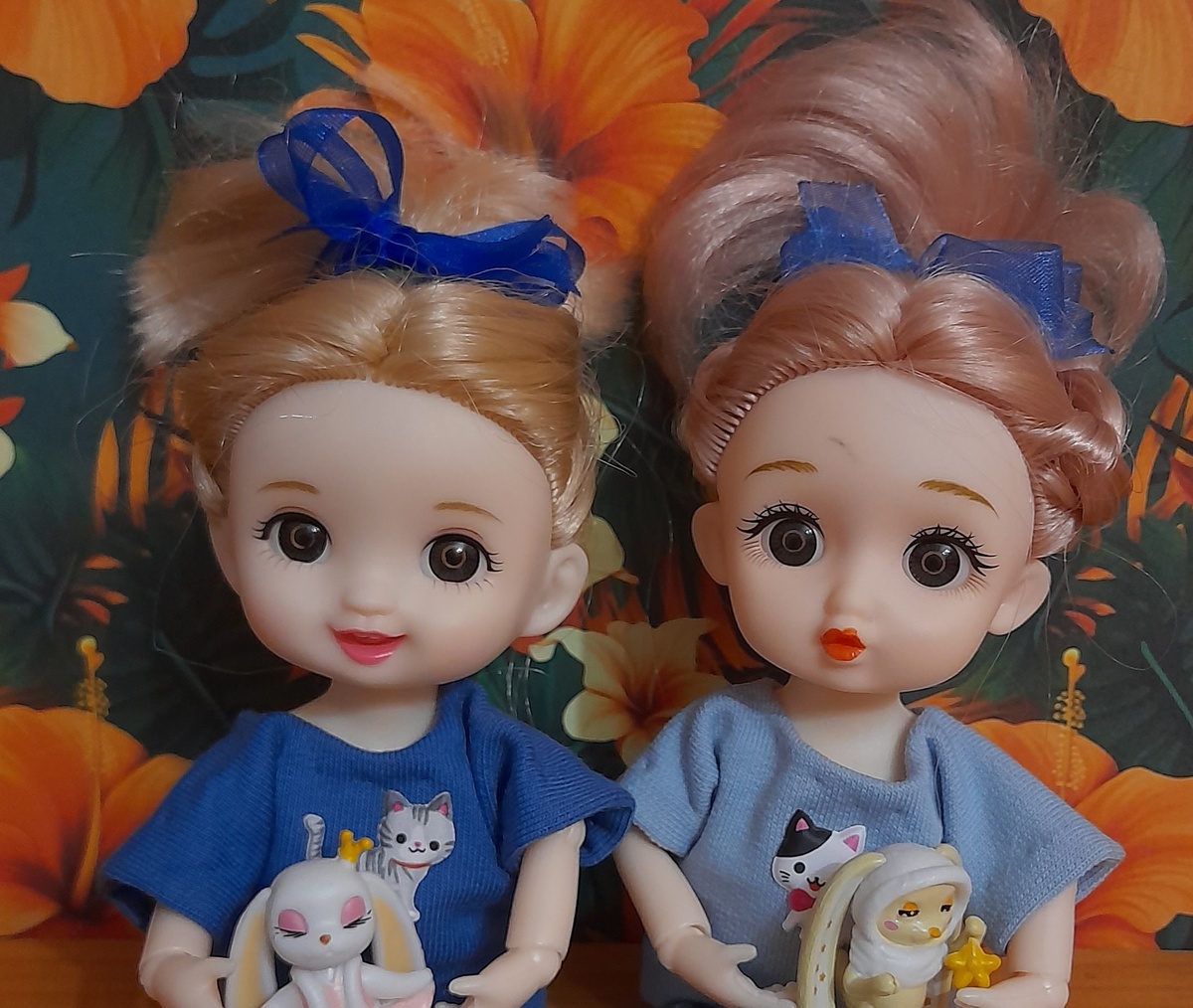 Фоавтора каналато 