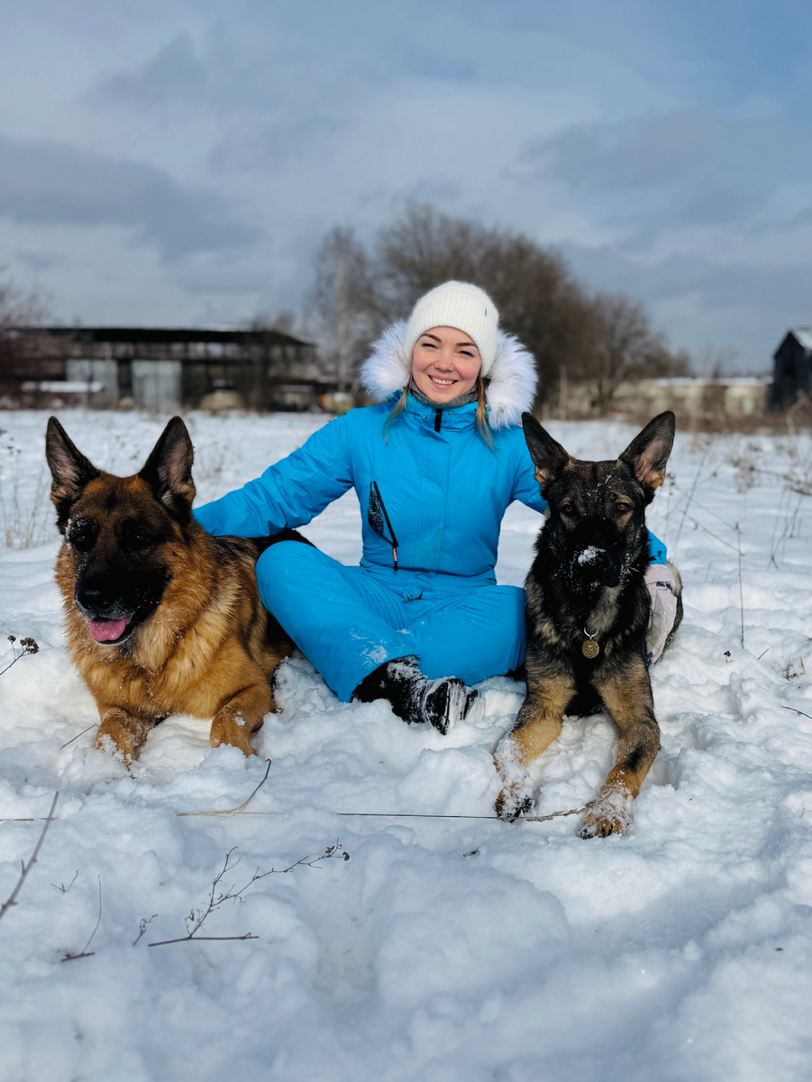 Я и наши немецкие овчарки, Расмус, почти 5 лет (слева) и Ичи, год и два месяца (справа)