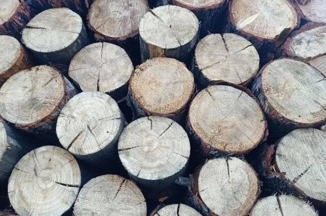    Стройматериалы из-за теплой зимы подорожают?