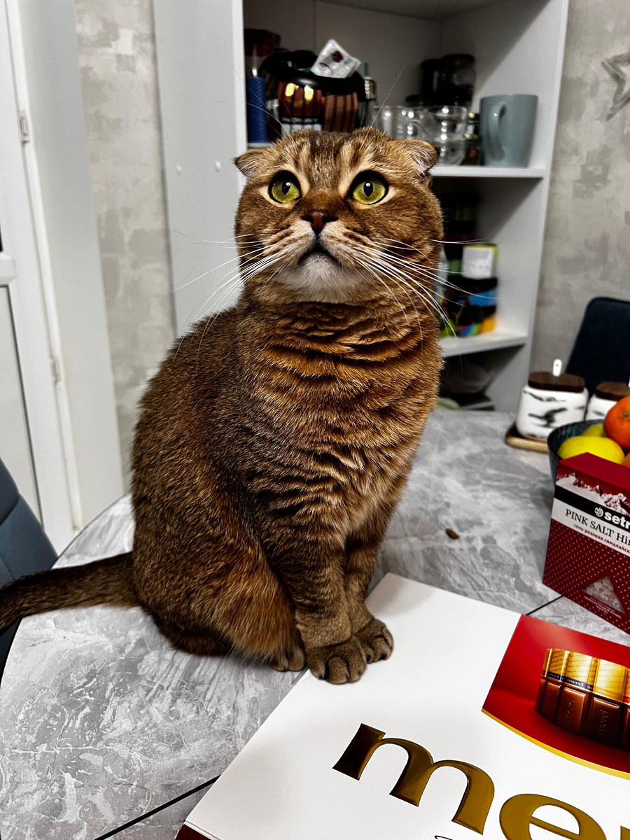 Мэй Ли (из личного архива)