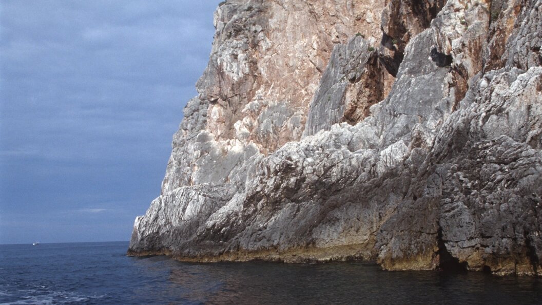    Vadim Nekrasov/Russian Look/Globallookpress