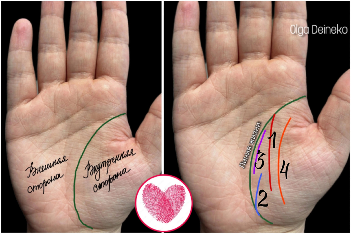 Линии влияния к линии жизни. Фото автора.