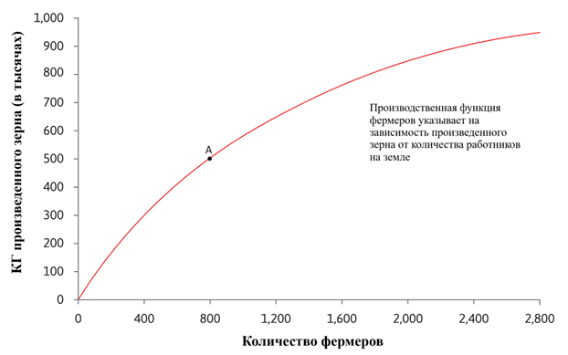 Рисунок 1.8б Производственная функция фермеров.
- Производственная функция показывает, как количество фермеров, обрабатывающих землю, влияет на производство зерна в конце вегетационного периода.
- Точка A на производственной функции показывает выпуск зерна, произведенного 800 фермерами.
