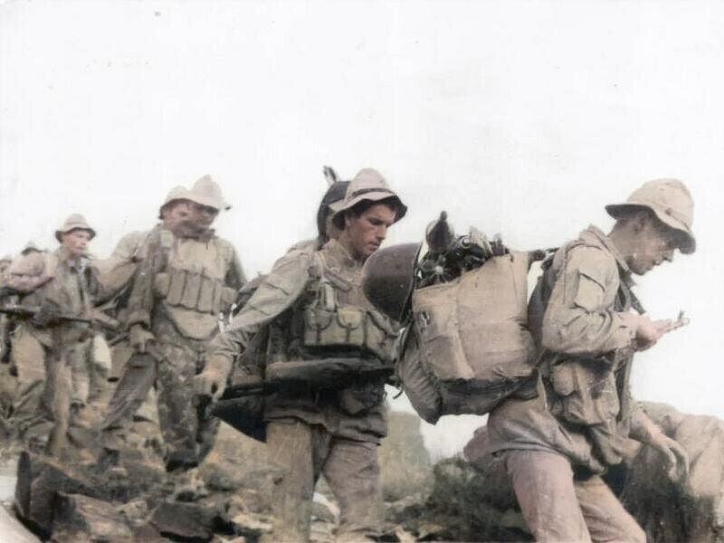 фото из интернета.