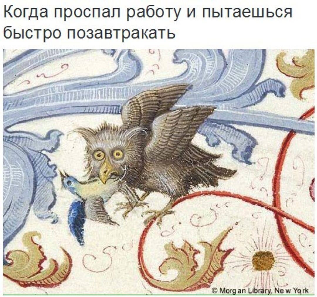 Ноташа практически каждое утро))