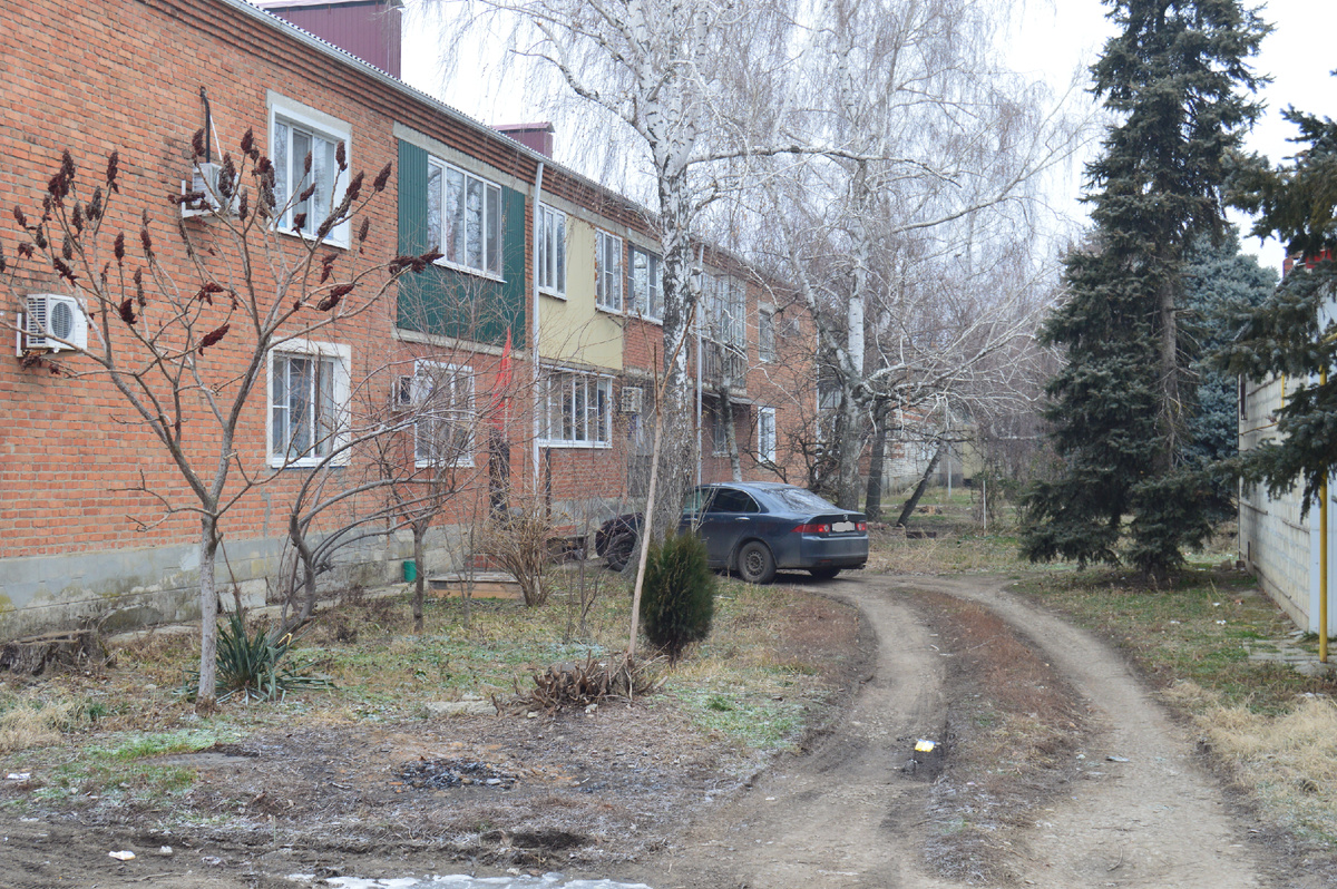 Фото автора. 13.02.2025. Станица. Дорога ведёт в тупик.