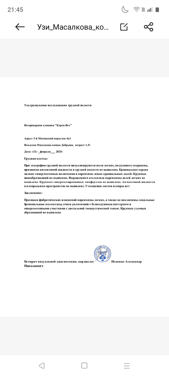 Описание УЗИ грудной полости