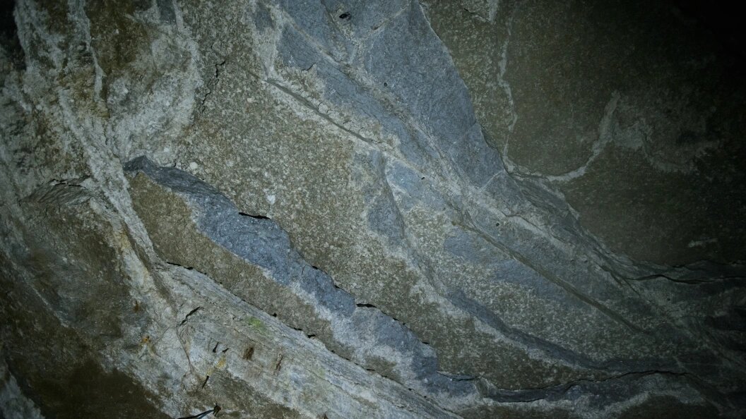    Dmitry Chasovitin/Globallookpress