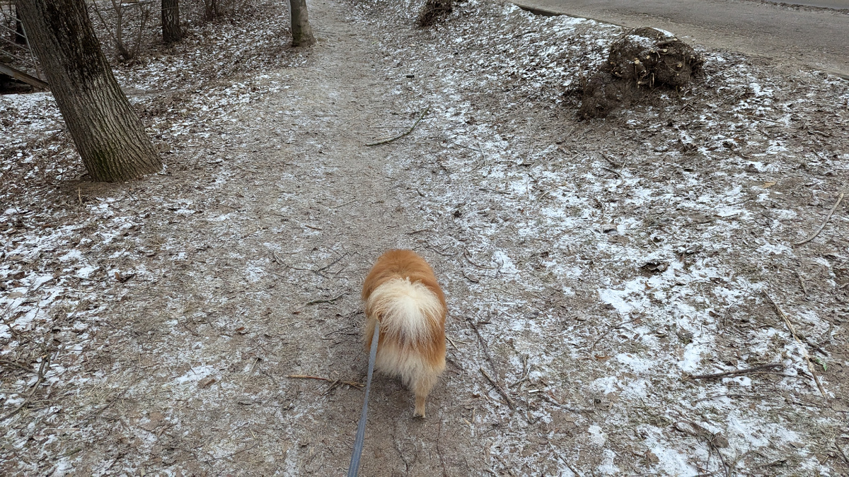 Кто главный?