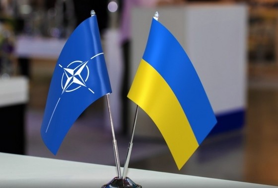     Shutterstock/FOTODOM