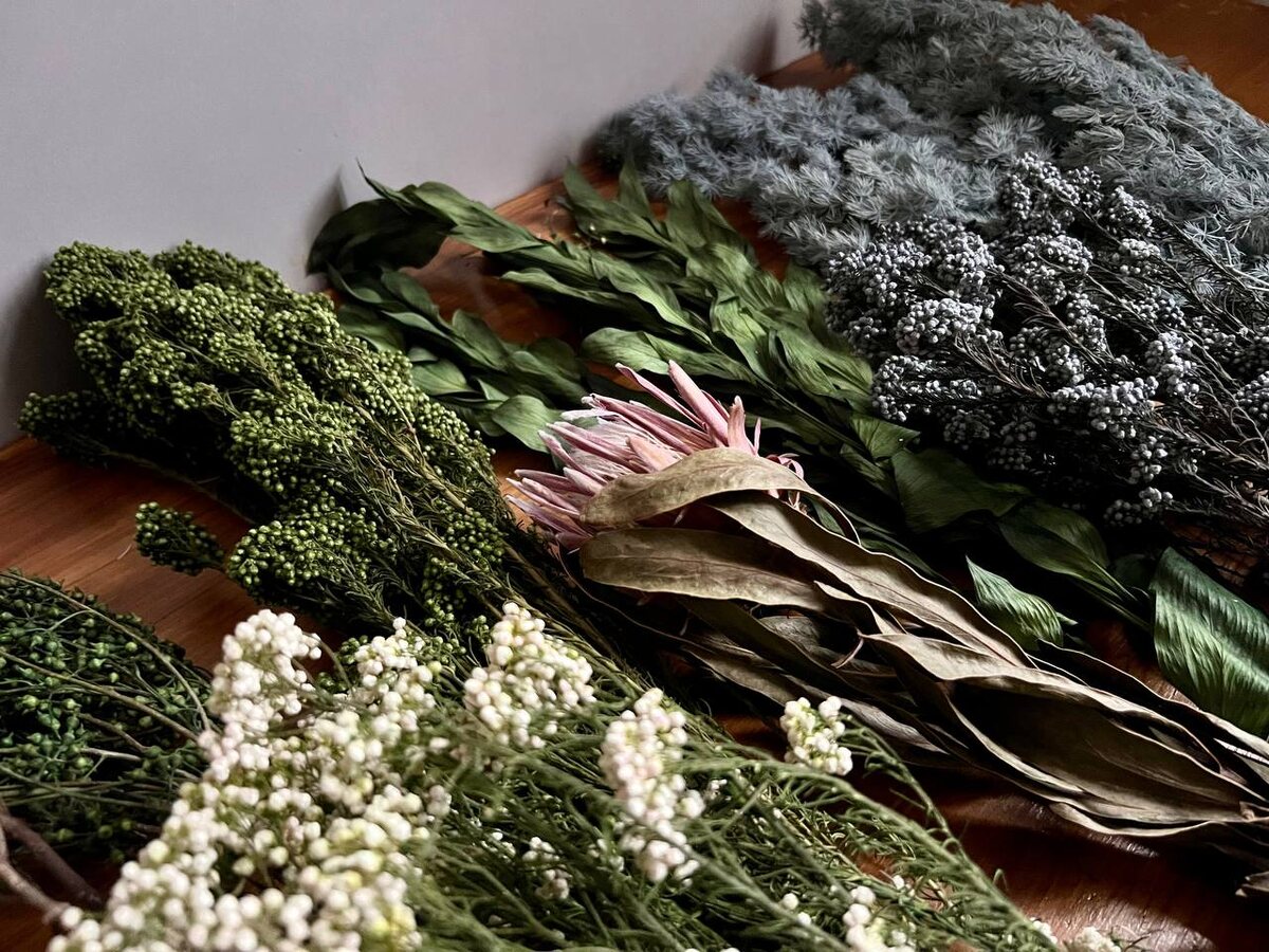 Сухоцветы Dried Flowers Moscow 